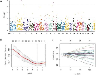 Prognostic Value of Germline Copy Number Variants and Environmental Exposures in Non-small Cell Lung Cancer